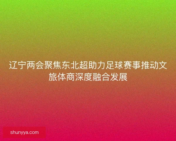 辽宁两会聚焦东北超助力足球赛事推动文旅体商深度融合发展