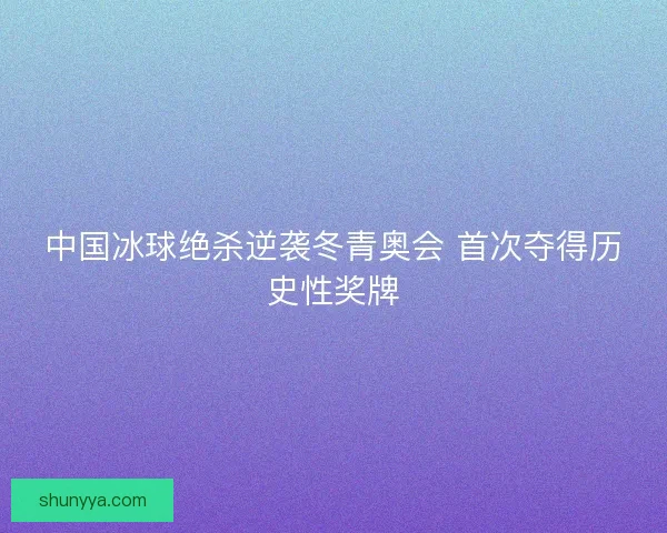 中国冰球绝杀逆袭冬青奥会 首次夺得历史性奖牌
